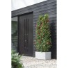 Elho Bac a fleurs Vivo Next Long 60 - L 59 x W 30 x H 29 cm - Intérie