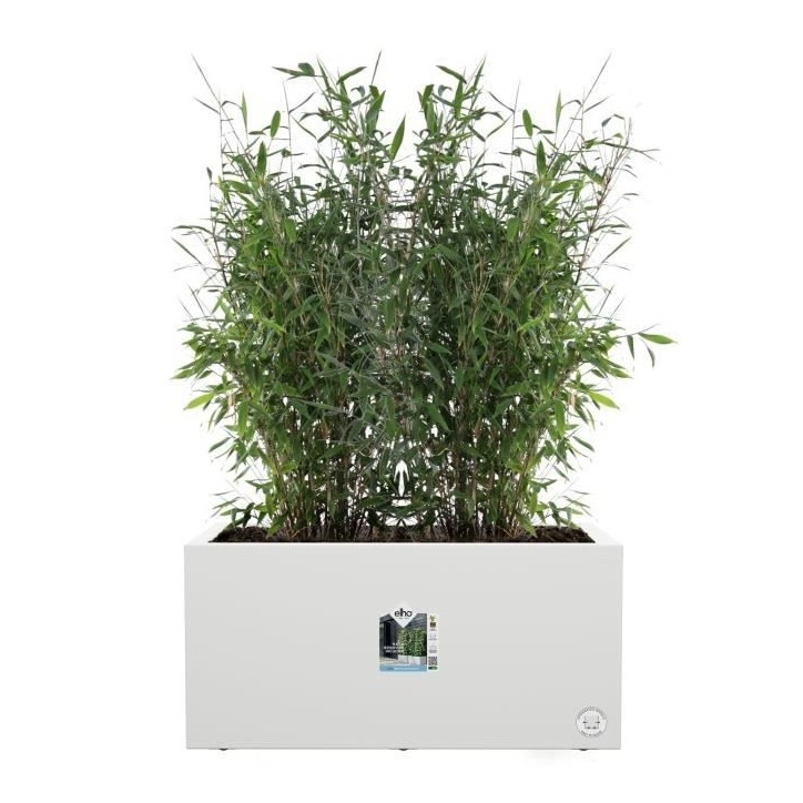 Elho Bac a fleurs Vivo Next Long 60 - L 59 x W 30 x H 29 cm - Intérieur,Extérieur - 100% recyclé - Blanc Elho Bac a fleurs Vivo Next Long 60 - L 59 x W 30 x H 29 cm - Intérieur,Extérieur - 100% recyclé - Blanc
