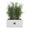 Elho Bac a fleurs Vivo Next Long 60 - L 59 x W 30 x H 29 cm - Intérie