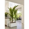 Elho Bac a fleurs Vivo Next Long 60 - L 59 x W 30 x H 29 cm - Intérie