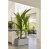 Elho Bac a fleurs Vivo Next Long 60 - L 59 x W 30 x H 29 cm - Intérie