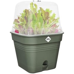 ELHO Pot de culture Carré GREEN BASICS - Plastique - Réservoir - 19,