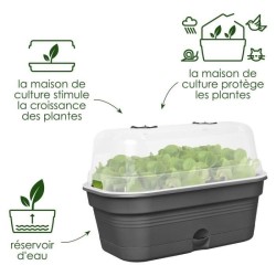 ELHO Bac a culture Green Basics Allin1 Large - L 39 x B 23 x H 15 cm -