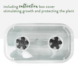 ELHO Bac a culture Green Basics Allin1 Large - L 39 x B 23 x H 15 cm -
