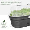 ELHO Bac a culture Green Basics Allin1 Large - L 39 x B 23 x H 15 cm -