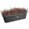 ELHO Balconniere Noa Xl - L 78 x W 20 x H 18 cm - Balcon,extérieur -