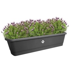 ELHO Balconniere Noa Xl - L 78 x W 20 x H 18 cm - Balcon,extérieur -