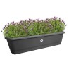 ELHO Balconniere Noa Xl - L 78 x W 20 x H 18 cm - Balcon,extérieur -