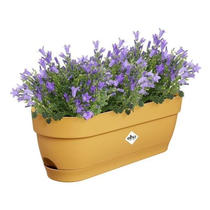 ELHO Balconniere ovale Vibia Campana - Plastique - Réservoir - 50 x 18,2 H 17 cm - Jaune Miel ELHO Balconniere ovale Vibia Campana - Plastique - Réservoir - 50 x 18,2 H 17 cm - Jaune Miel