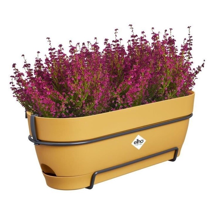 ELHO Balconniere ovale Vibia Campana Allin1 - Plastique - Réservoir - 50,4 x 26 x H17,7cm - Jaune Miel ELHO Balconniere ovale Vibia Campana Allin1 - Plastique - Réservoir - 50,4 x 26 x H17,7cm - Jaune Miel