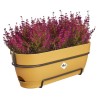 ELHO Balconniere ovale Vibia Campana Allin1 - Plastique - Réservoir -