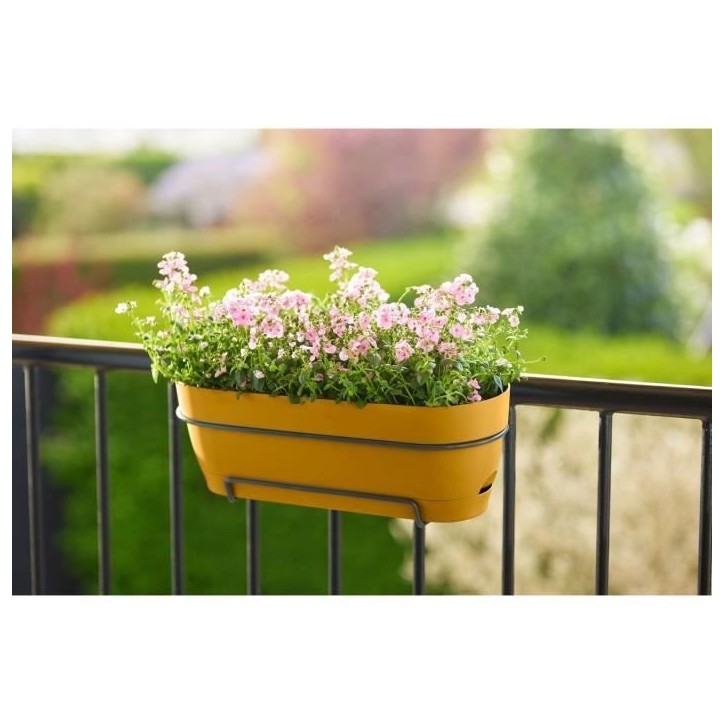 ELHO Balconniere ovale Vibia Campana Allin1 - Plastique - Réservoir - 50,4 x 26 x H17,7cm - Jaune Miel ELHO Balconniere ovale Vibia Campana Allin1 - Plastique - Réservoir - 50,4 x 26 x H17,7cm - Jaune Miel
