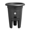 ELHO Pot de culture a fraises Green Basics - Ø 33 x H 42 cm - Culture