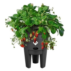ELHO Pot de culture a fraises Green Basics - Ø 33 x H 42 cm - Culture