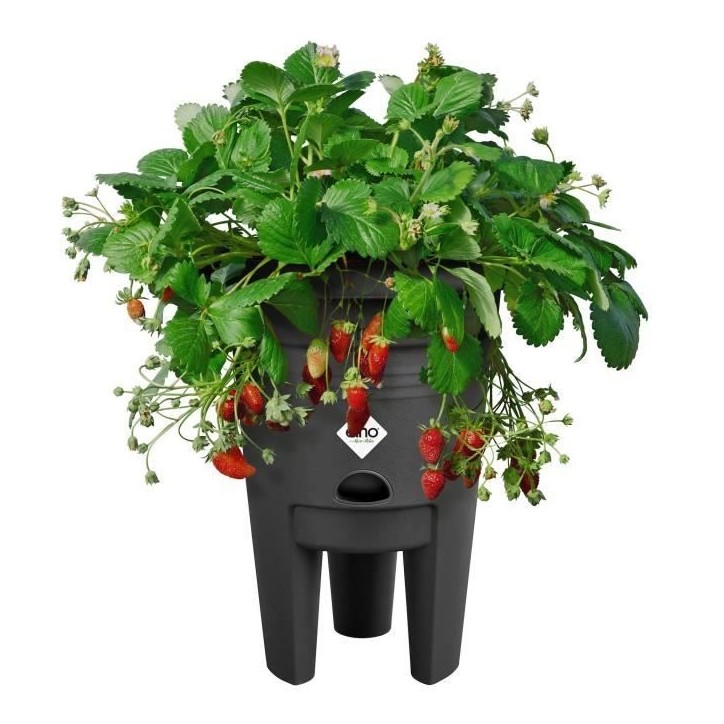 ELHO Pot de culture a fraises Green Basics - Ø 33 x H 42 cm - Culture et récolte,extérieur - 100% recyclé - Noir