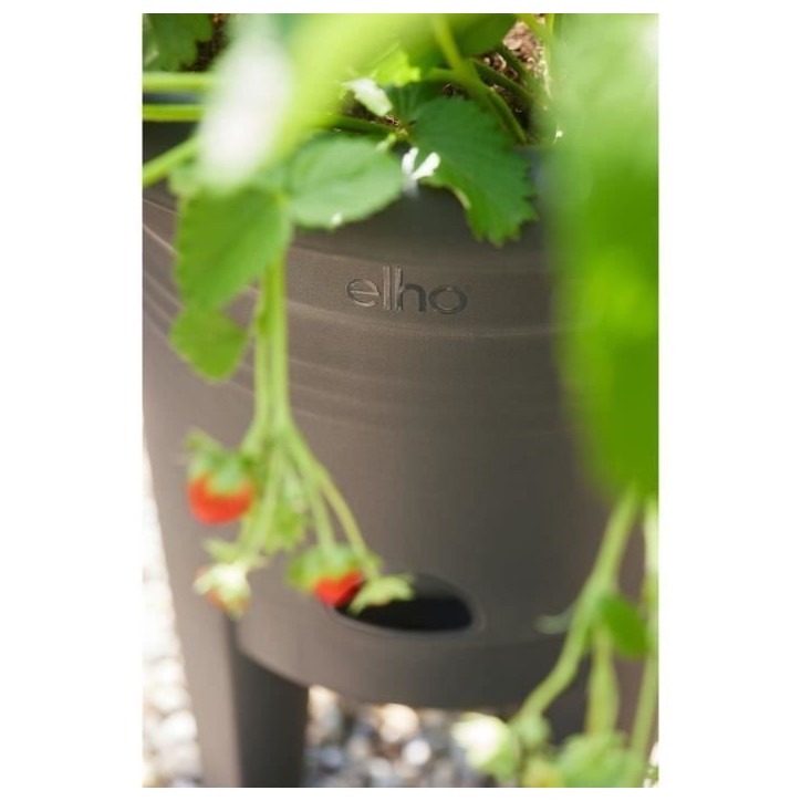 ELHO Pot de culture a fraises Green Basics - Ø 33 x H 42 cm - Culture et récolte,extérieur - 100% recyclé - Noir