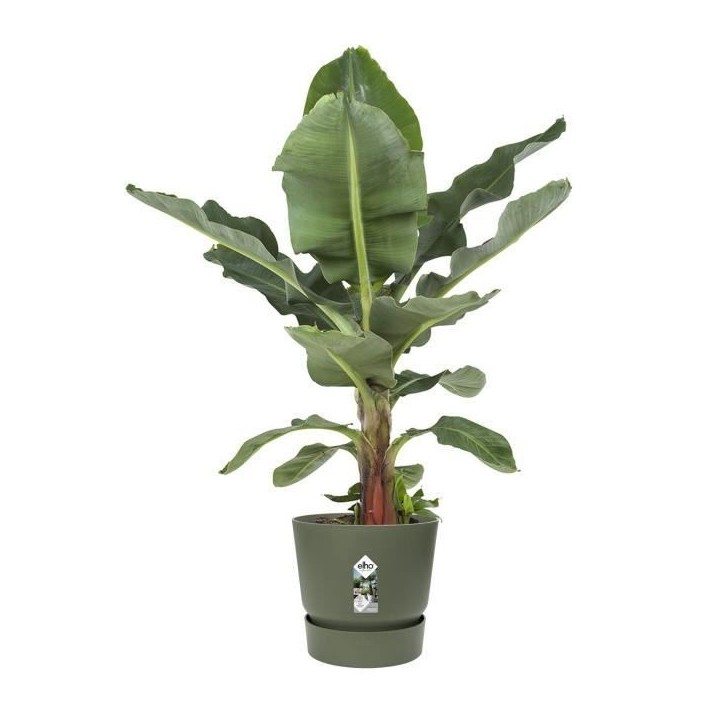 ELHO Pot de fleurs rond Greenville - Ø 55 x H 50 cm - Extérieur - 100% recyclé - Vert ELHO Pot de fleurs rond Greenville - Ø 55 x H 50 cm - Extérieur - 100% recyclé - Vert