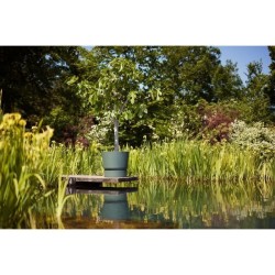 ELHO Pot de fleurs rond Greenville - Ø 55 x H 50 cm - Extérieur - 10