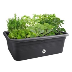 ELHO Bac a fleurs de culture Green Basics Large - L 76 x B 57 x H 27 c