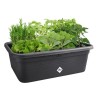 ELHO Bac a fleurs de culture Green Basics Large - L 76 x B 57 x H 27 c