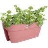 ELHO Balconniere Vibia Campana Flower Bridge 60 - Rose - L 26 x W 59 x