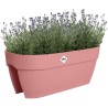 ELHO Balconniere Vibia Campana Flower Bridge 60 - Rose - L 26 x W 59 x