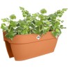 ELHO Balconniere Vibia Campana Flower Bridge 60 - Marron - L 26 x W 59