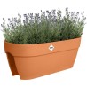 ELHO Balconniere Vibia Campana Flower Bridge 60 - Marron - L 26 x W 59
