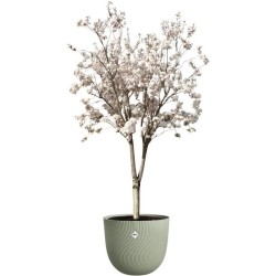 ELHO Pot de fleurs Sereh Rond 47 - Vert - Ø 47 x H 40 cm - 100% recyc