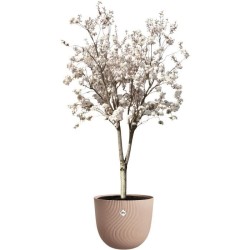 ELHO Pot de fleurs Sereh Rond 47 - Marron - Ø 47 x H 40 cm - 100% rec