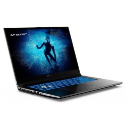 PC Portable Gamer ERAZER Defender P50i MD62643 - Windows 11 - 17,3 FHD