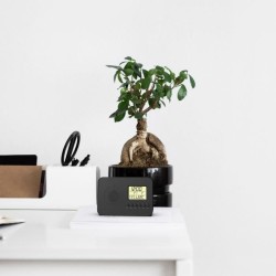 Radio réveil intelligent EVOOM LEKIO avec affichage de la date, heure
