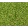 Gazon synthétique - Exelgreen - Campus 25mm - 1m x 5m