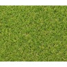 Gazon synthétique - Exelgreen - Campus 25mm - 1m x 5m
