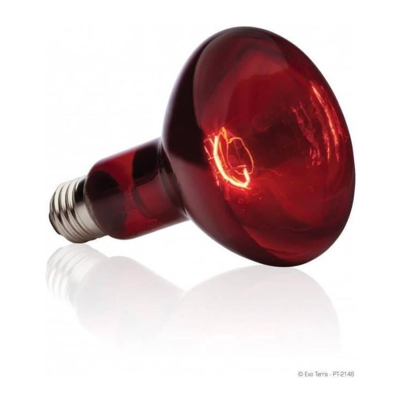 BASKING SPOT lampe infrarouge 75 W BASKING SPOT lampe infrarouge 75 W