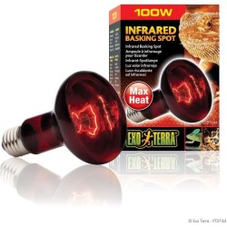 Ampoule chauffante pour terrarium - EXO TERRA - Basking Spot - Chaleur