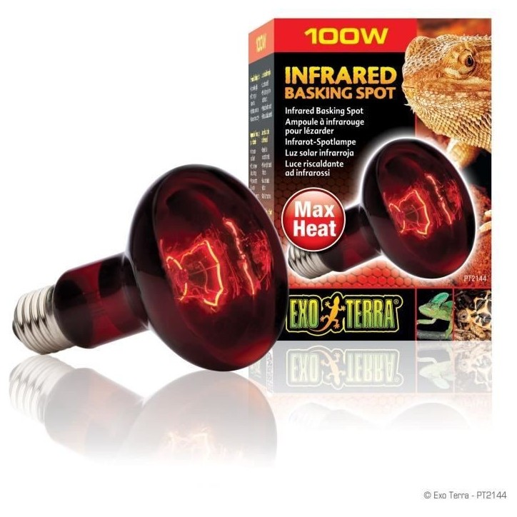 Ampoule chauffante pour terrarium - EXO TERRA - Basking Spot - Chaleur infrarouge - 100W