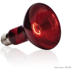 Ampoule chauffante pour terrarium - EXO TERRA - Basking Spot - Chaleur