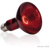 Ampoule chauffante pour terrarium - EXO TERRA - Basking Spot - Chaleur