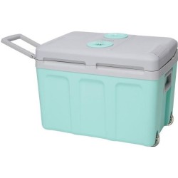 Glaciere thermoélectrique INCASA 40L - Alimentation 12/220V - Vert -