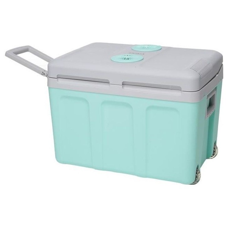 Glaciere thermoélectrique INCASA 40L - Alimentation 12/220V - Vert - Idéale pour l'été en voiture Glaciere thermoélectrique INCASA 40L - Alimentation 12/220V - Vert - Idéale pour l'été en voiture