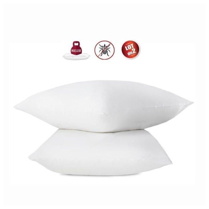 Lot de 2 oreillers anti-acariens - 60 x 60 cm - 100% coton traité Biome - ABEIL Lot de 2 oreillers anti-acariens - 60 x 60 cm - 100% coton traité Biome - ABEIL