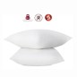 Lot de 2 oreillers anti-acariens - 60 x 60 cm - 100% coton traité Biome - ABEIL Lot de 2 oreillers anti-acariens - 60 x 60 cm - 100% coton traité Biome - ABEIL