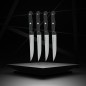 Lot de 4 couteaux a steak - NIROSTA - 21 cm