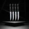 Lot de 4 couteaux a steak - NIROSTA - 21 cm