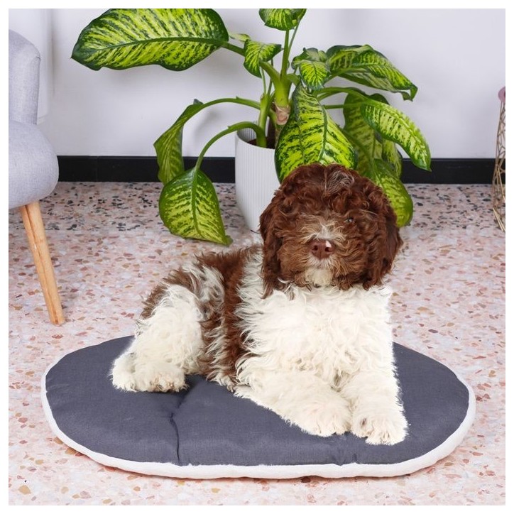 Coussin - FERPLAST - RELAX 78/8 - 78 x 50 cm - Tissu et fourrure Coussin - FERPLAST - RELAX 78/8 - 78 x 50 cm - Tissu et fourrure