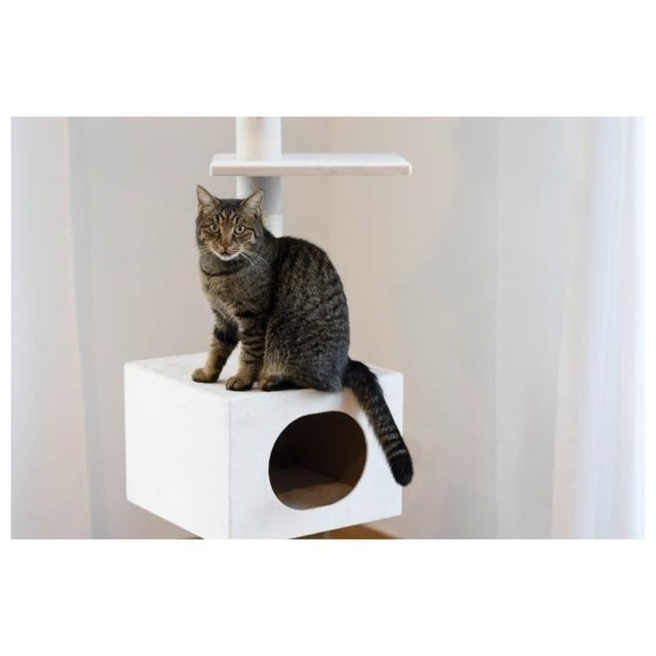 KERBL - Arbre a chat FERDI - 38 x 38 x 240 a 260 cm - Blanc - Sisal KERBL - Arbre a chat FERDI - 38 x 38 x 240 a 260 cm - Blanc - Sisal