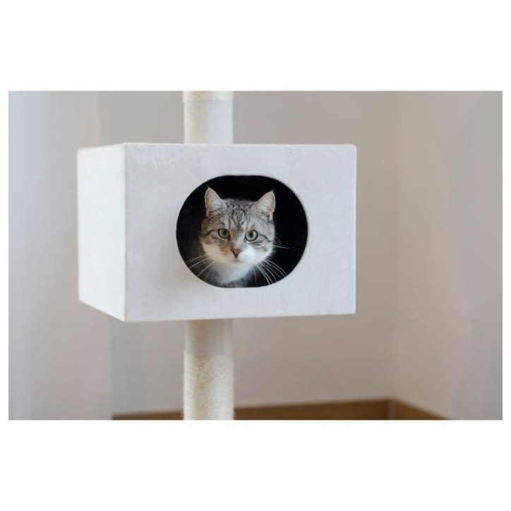 KERBL - Arbre a chat FERDI - 38 x 38 x 240 a 260 cm - Blanc - Sisal KERBL - Arbre a chat FERDI - 38 x 38 x 240 a 260 cm - Blanc - Sisal