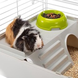 Cage pour rongeurs - Hamster 77 x 48 x 42 cm - FERPLAST - CAVIE 80X1 -