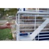 Cage pour lapins avec accessoires 78* 48*65 cm - FERPLAST